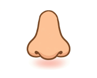 Nose